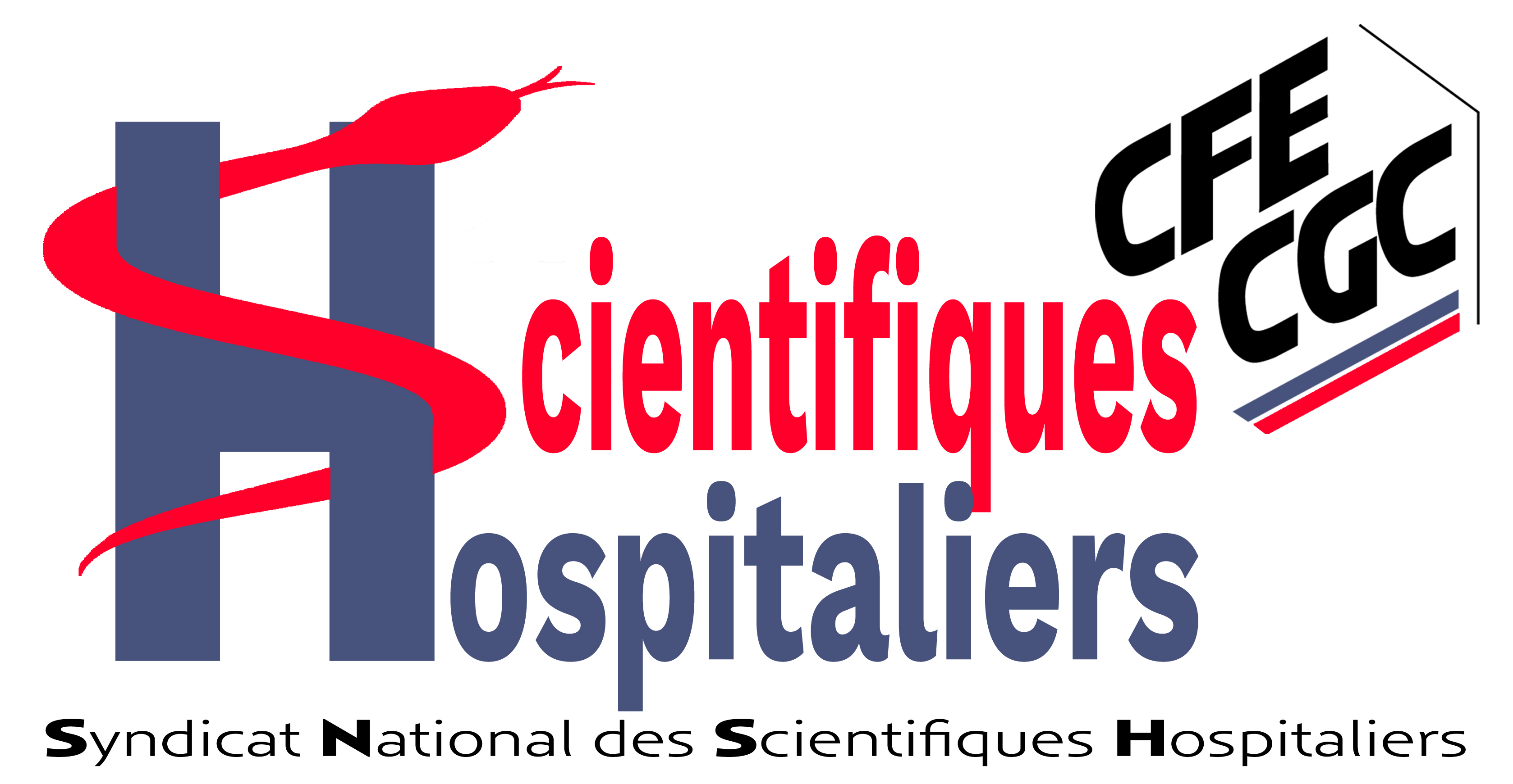 Logo SNSH CFE-CGC